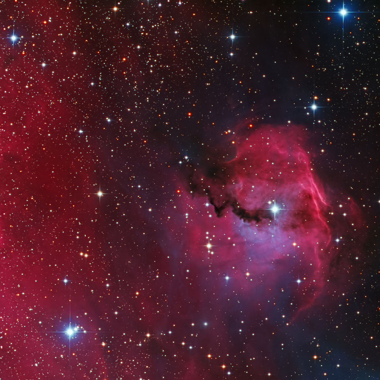 Seagull Nebula